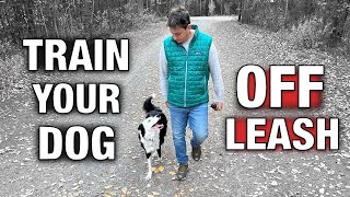 ONLY REAL WORLD EXAMPLES: How I Prepare My Canine To Be OFF LEASH Even When Distracted!
