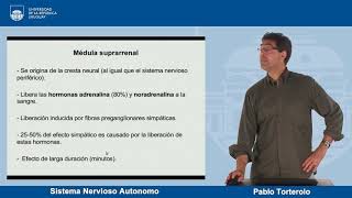 Sistema nervioso autónomo (Parte 1) - Neurobiología