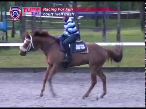 FLOREAL NEWS - RACE MEETING 16 (08.07.2017)