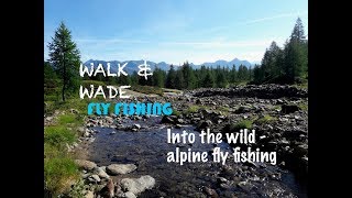 Into the wild - alpine fly fishing