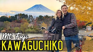 We rented bikes to see MT. FUJI, JAPAN! 🇯🇵 (AMAZING fall colors in Kawaguchiko!)