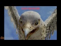 Ice Age Cast Video