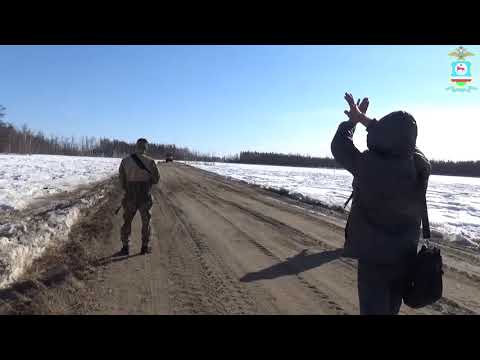 В Якутии возбуждены уголовные дела по незаконной вырубке леса
