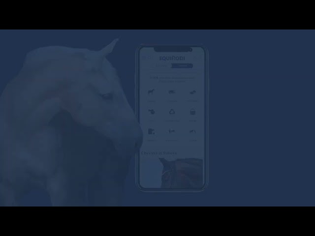 Yegua Silla Francés En venta 2021 Alazán