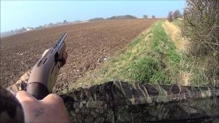 pigeon shooting in lincolnshire UK