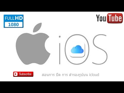 ซื้อร้านขายยาค้อนของ ธ อร์ ทิงเจอร์ของถั่วซีดาร์ที่มีความอ่อนแอ