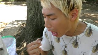 セミを食べたら意外と美味しかったです【ジョーブログが消した動画】