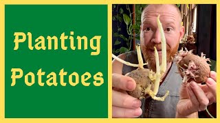 Potatoes: When To Plant & How To Chit - Early/Mid/Late Season Varieties Explained