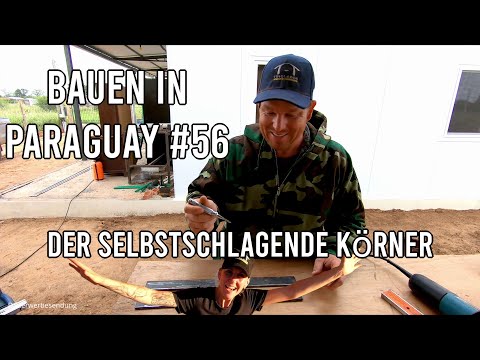 Der selbstschlagende Körner & was Sarah so gemacht hat