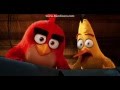 The Angry Birds Movie - Red, Chuck and Bomb found the Pigs