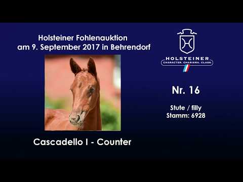 Nr. 16 v. Cascadello I - Counter