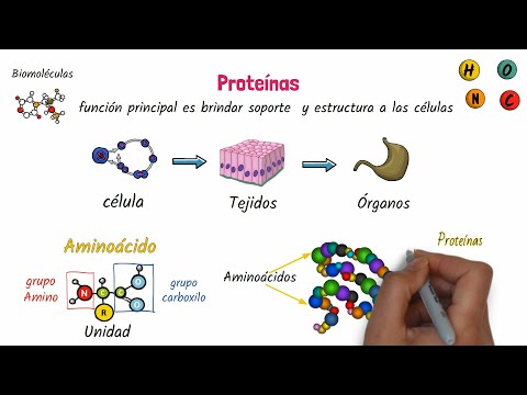 Proteins Biomolecules