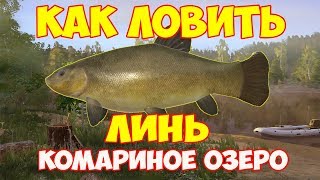 На что можно поймать линя в рр4