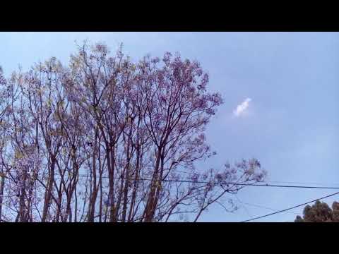 Lágrimas y Sonrisas- Juan D'Arienzo ( 1936)