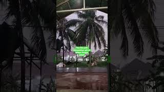 Download lagu Tiba-tiba petir menyambar pohon kelapa hingga patah😱. #viral #fypシ #fypシ゚viral #kejadiantakterduga mp3 Download lagu Tiba-tiba petir menyambar pohon kelapa hingga patah😱. #viral #fypシ #fypシ゚viral #kejadiantakterduga mp3