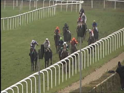 Galopprennbahn Dresden - 16.11.2016 - 8.Rennen