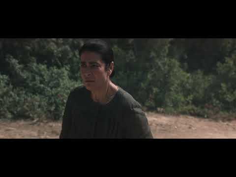 Cefalonia - 8 settembre 1943