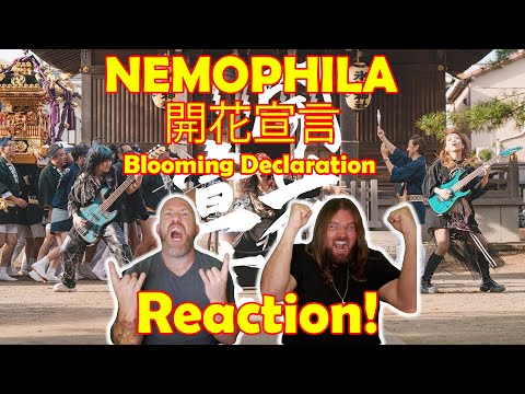 Musicians react to hearing NEMOPHILA / 開花宣言 [Official Music Video] for the very first time!!!!!