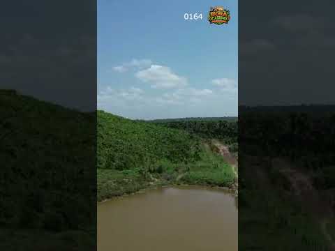 Fazenda à Venda em Afonso Cunha - Maranhão #shorts #agro #fazenda
