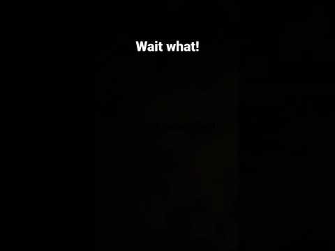 #funny #views #subscribe #monke #wildlionfish #nike #buckles #193 I like hashtags