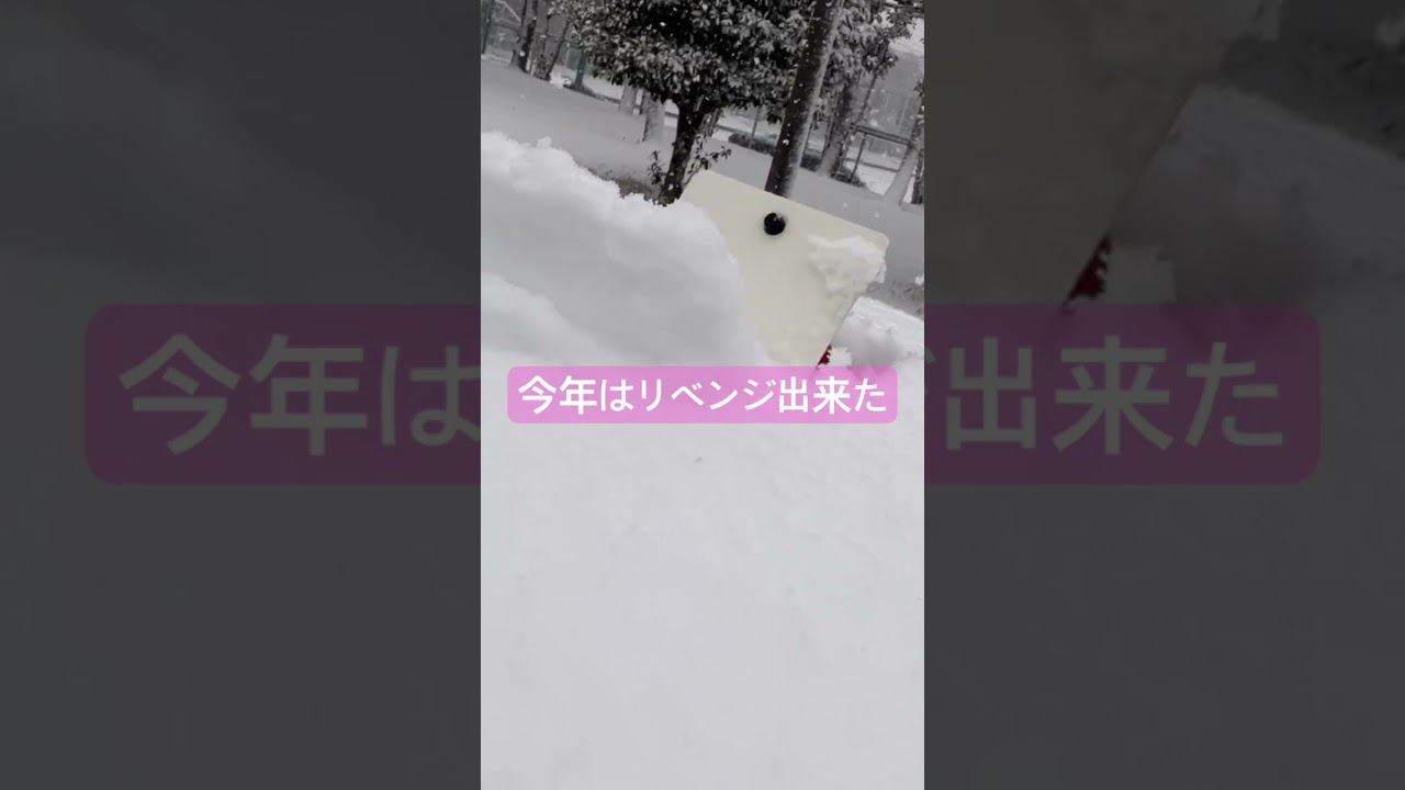 #推しの子 #バズれ #shorts #diy #automobile #覆面パトカー #パトカー #ドラレコ #拡声器 #白バイ #パトカー