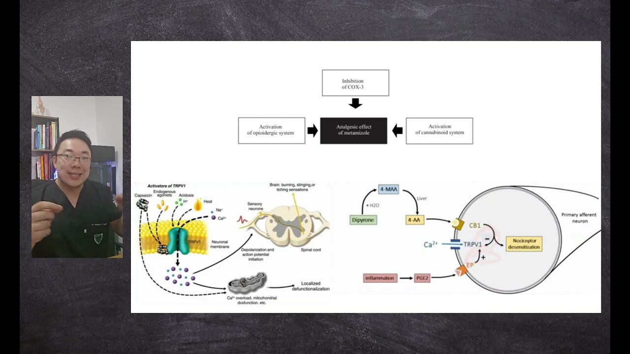 Mecanismo de Ação da Dipirona - Farmacologia