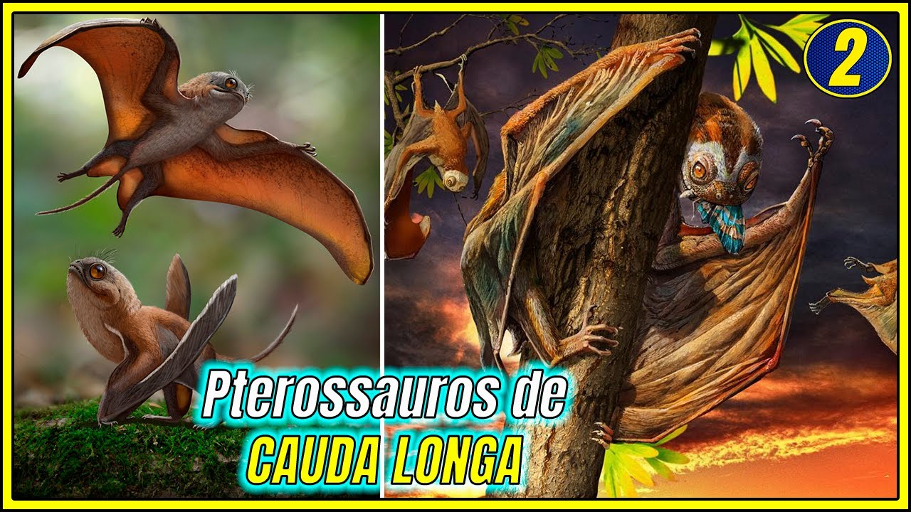 PTEROSSAUROS : EVOLUÇÃO dos RANFORRINCÓIDES do JURÁSSICO | ESPECIAL PTEROSSAUROS #2