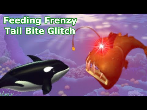 Feeding Frenzy Glitch: Immortal Anglerfish Relentlessly Bullies Orca