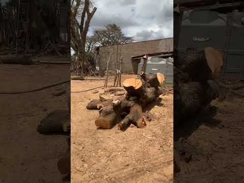 INTERIOR DE CATARINA CEARÁ #ceará #interior #sombra #interiordesign