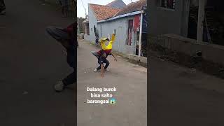 Download lagu Dalang Burok Salto Barongsai‼️#barongsai#shorts mp3