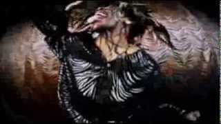 Snoop Lion :: Remedy (Ft. Busta Rhymes & Chris Brown) [Music Video]