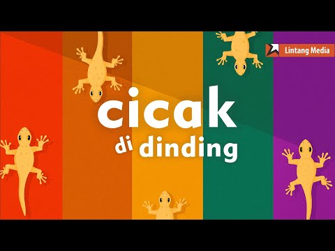 Download Cicak 3gp Mp4 Codedfilm