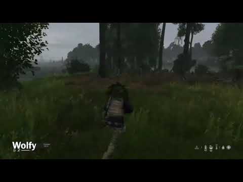 DayZ official montage (PS4) Ft.friends