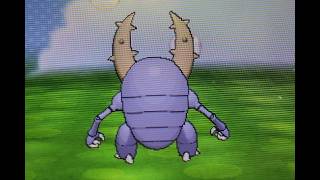 ついにメガ枠の相棒ポケモンを見つけました・・・【R2004～】