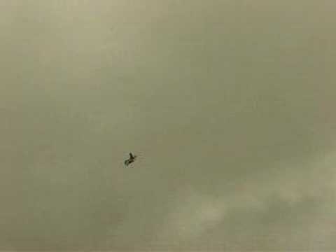 RAF Leuchars Fighter Jets @ Knockhill Motorfair