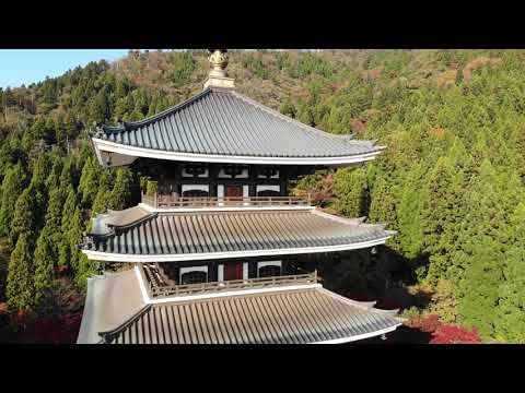 大師山清大寺　越前大仏