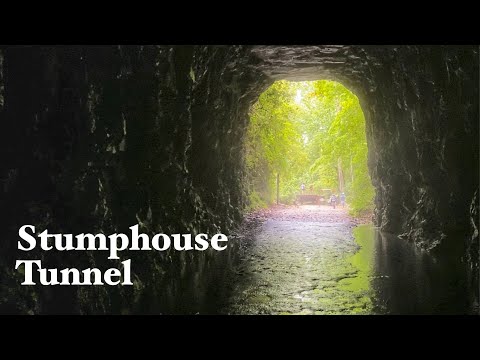 youtube embeded image