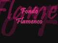 Fondo Flamenco-Locos Sin Remedio 
