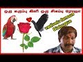 Karuppu Kili Sigappu Roja Vadivelu Dialogue Whatsapp Status Naisekar Comedy