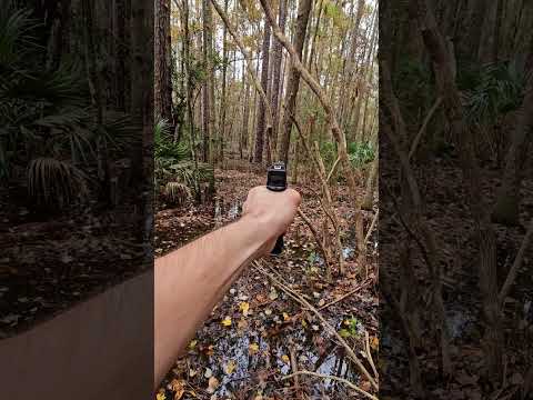 Glock 44 calibre 22 con silenciador en la selva #glock #pistola #Campo #Selva #Bosque #22 #Arma
