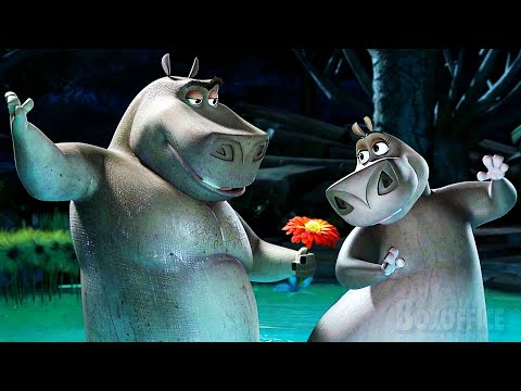 The Hippos Love Dance | Madagascar: Escape 2 Africa | CLIP