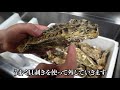 【板前の技術】生牡蠣からオイスターソースを作る方法