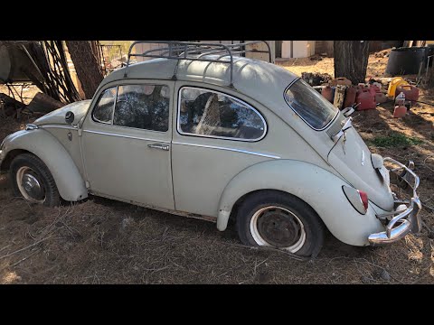 FLASHBACK - Rescue of the Abandoned 1966 Beetle… Sitting since 2006