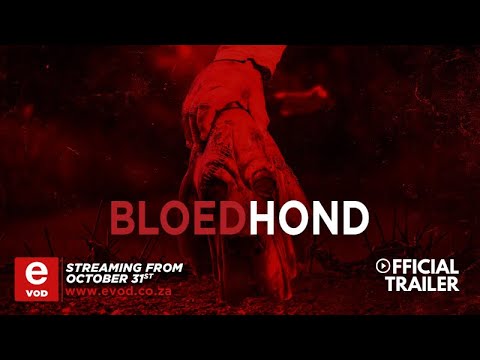 Bloedhond | eVOD