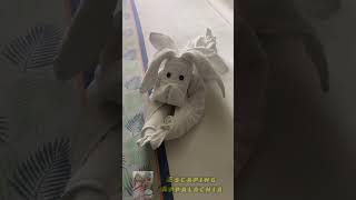 Towel Animals! #cruise #island #carnival #traveltips #beach #vacation #holiday #cruiseship #funship