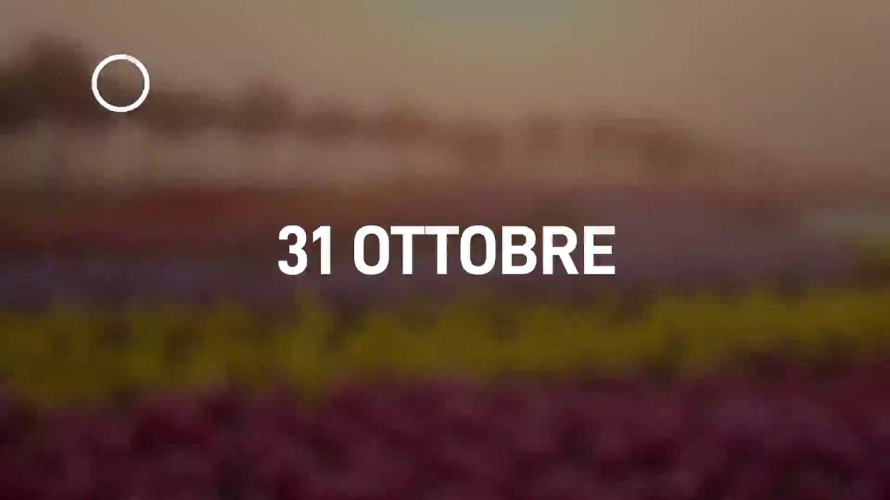 31 Ottobre 2024 | Meditazione Parole di Vita