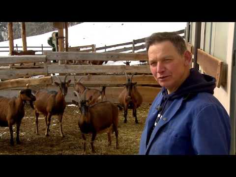 RAI "Land & Leben" - Sendung vom 9. März 2017