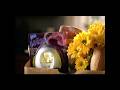 ITV 1 Tyne Tees Adverts Friday 7 April 2006