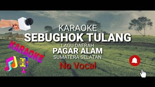 Download lagu SEBUGHOK TULANG KARAOKE Lagu Daerah Pagar Alam Sum... mp3