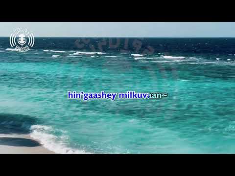 Mee Vevey Qurubaanekey - 4k UHD - Karaoke - Latin